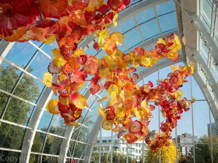 Chihuly Glass Garden